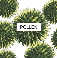 Eliminate pollen in your home with a clean air filter.